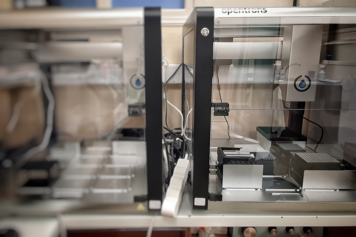 Arhrosis Medical Assistance Surgery